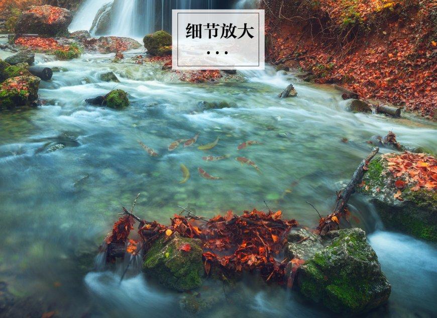 探索天涯问答交流平台如何引导幼儿观察植物